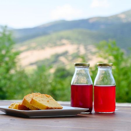 Kalavrita Botanica Hotel & Spa Екстер'єр фото