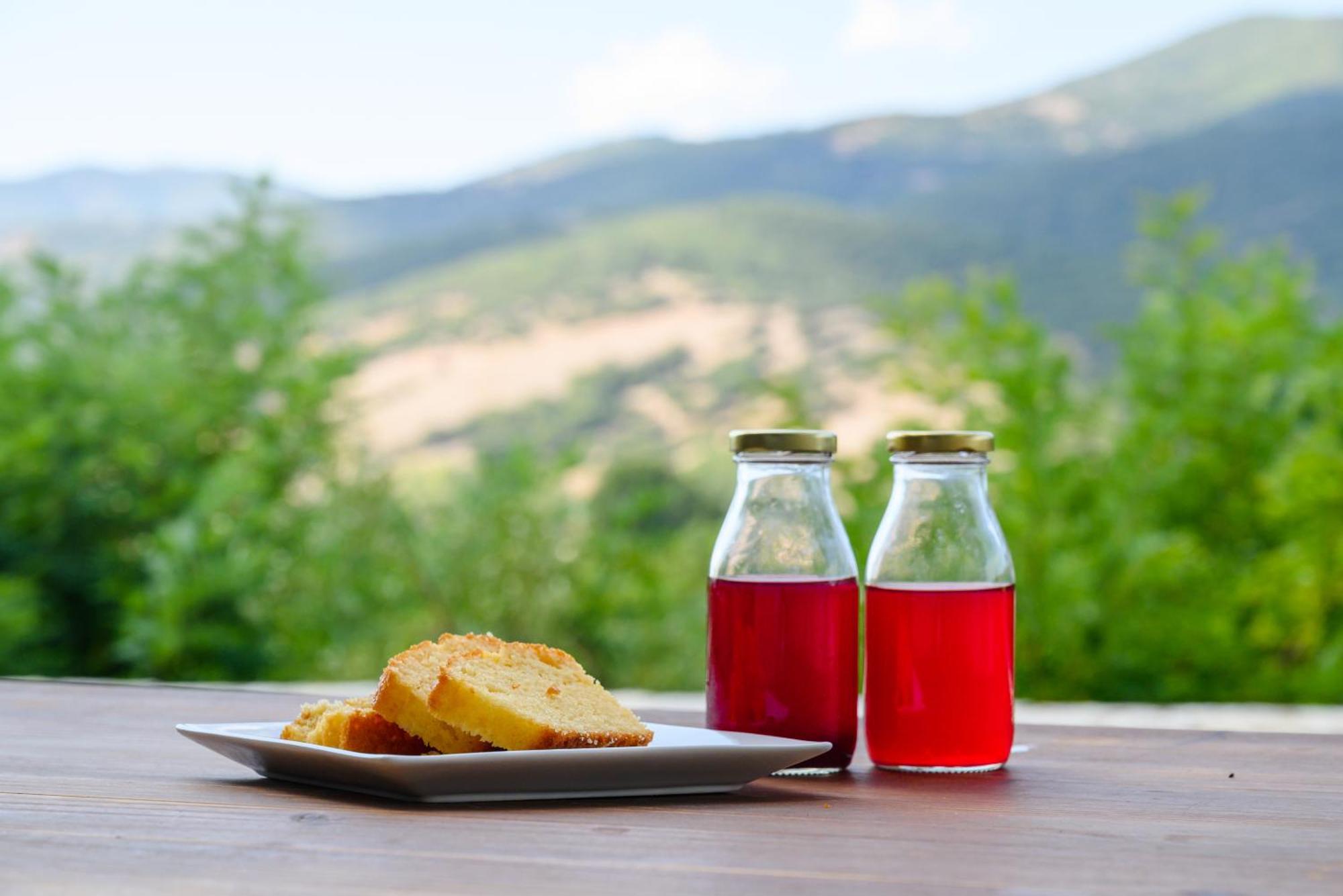 Kalavrita Botanica Hotel & Spa Екстер'єр фото